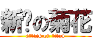 新鲜の菊花 (attack on titan)