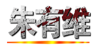朱有维 ()