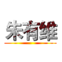 朱有维 ()