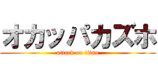オカッパカズホ (attack on titan)
