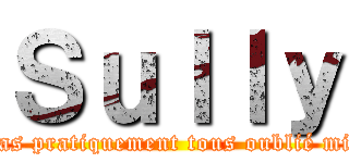 Ｓｕｌｌｙ (Ont t'as pratiquement tous oublié miskine)