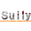 Ｓｕｌｌｙ (Ont t'as pratiquement tous oublié miskine)