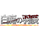 白痴の羽辰 (idiot on Sarah)