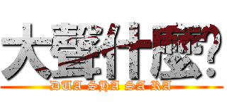 大聲什麼啦 (DUA SHA SA RA)