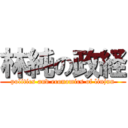 林純の政経 (politics and economics of linjun)