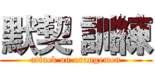 默契 訓練 (attack on orangemen)