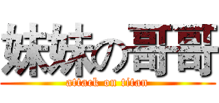 妹妹の哥哥 (attack on titan)