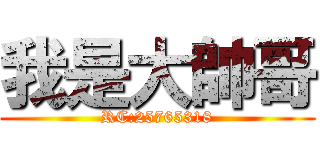 我是大帥哥 (RC:25765318)