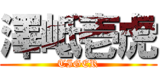 澤岻壱虎 (TIGER)