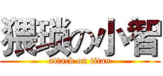 猥琐の小智 (attack on titan)