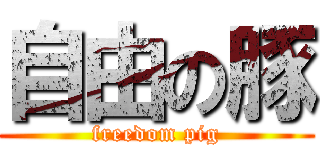 自由の豚 (freedom pig)
