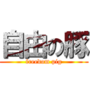 自由の豚 (freedom pig)