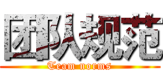 团队规范 (Team norms)