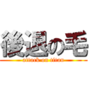 後退の毛 (attack on titan)
