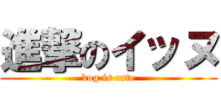進撃のイッヌ (dog is cute)