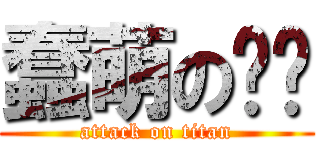 蠢萌の饼饼 (attack on titan)