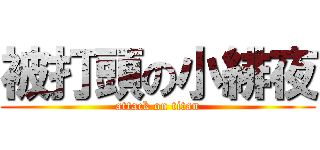 被打頭の小緋夜 (attack on titan)