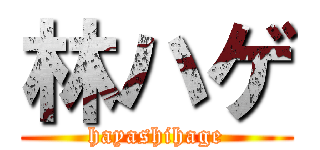 林ハゲ (hayashihage)