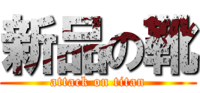 新品の靴 (attack on titan)