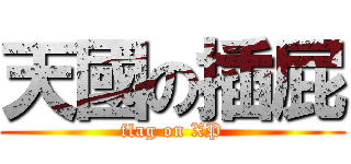 天國の插屁 (flag on XP)
