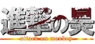 進撃の昊 (attack on monkey)