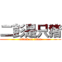 二彭是只猪 (attack on titan)