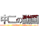 中二の動画 (movie of sec2)