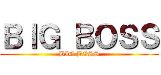 ＢＩＧ ＢＯＳＳ (BIG BOSS)