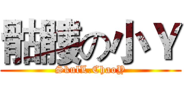 骷髏の小Ｙ (SkulL.ChaoY)