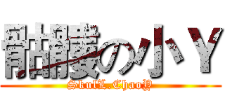 骷髏の小Ｙ (SkulL.ChaoY)