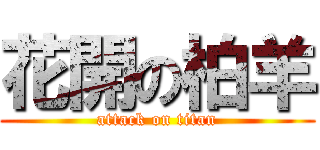 花開の柏羊 (attack on titan)