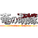 奄の萌嫁 (attack on RuPr)