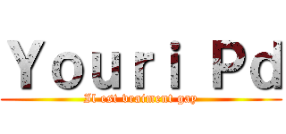 Ｙｏｕｒｉ Ｐｄ (Il est vraiment gay)