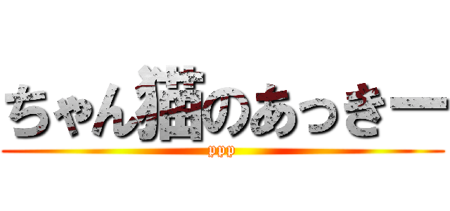 ちゃん猫のあっきー (ppp)
