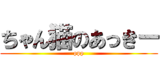 ちゃん猫のあっきー (ppp)