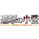 進撃の小萤 (attack on tears)