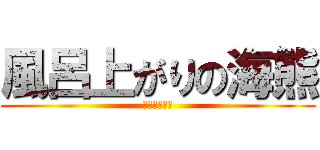 風呂上がりの海熊 (おなかいたい)