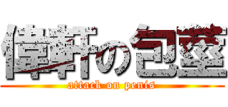 偉軒の包莖 (attack on penis)