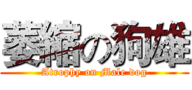 萎縮の狗雄 (Atrophy on Male dog)