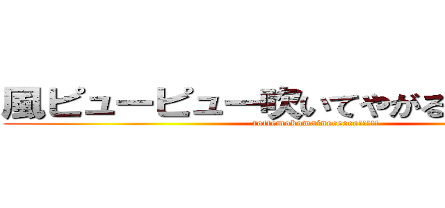 風ピューピュー吹いてやがる大丈夫かよ (tottemokowaineeeeee!!!!!)