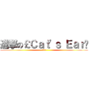 進撃の￡Ｃａｔ\'ｓ Ｅａｒ╯ (飛行考克)