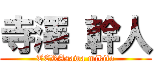 寺澤 幹人 (TERAsawa mikito)