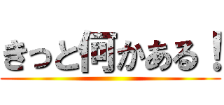 きっと何かある！ ()