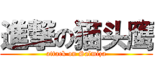 進撃の猫头鹰 (attack on Salmiza)