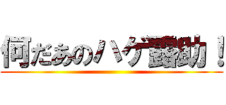 何だあのハゲ露助！ ()