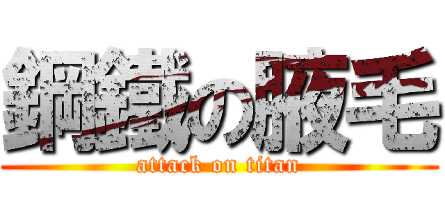 鋼鐵の腋毛 (attack on titan)