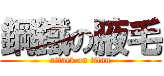 鋼鐵の腋毛 (attack on titan)