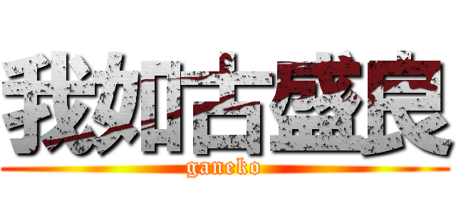 我如古盛良 (ganeko)