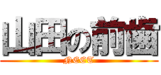 山田の前歯 (NEET)