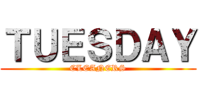 ＴＵＥＳＤＡＹ (CLEANERS)